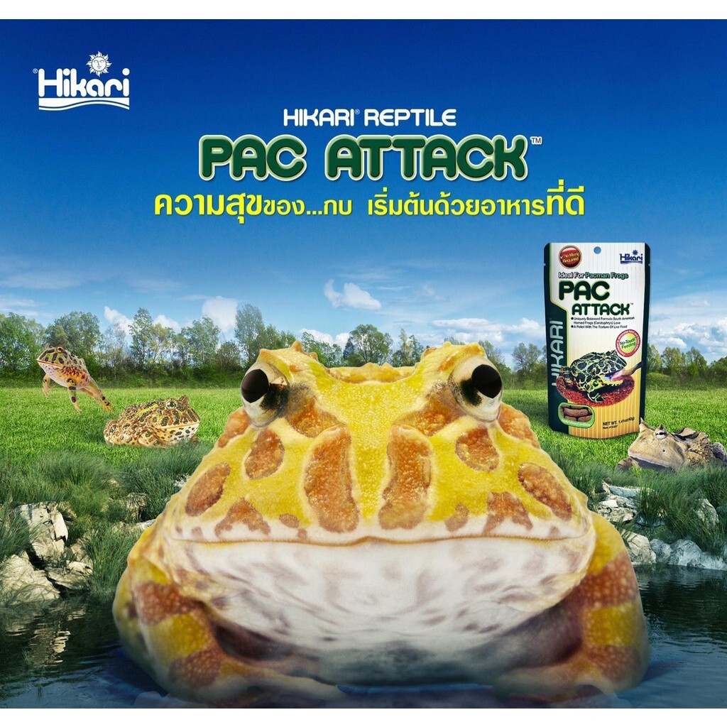 Reptiles Zoo Med Pacman Frog Food X HiKari Pac Attack Balanced