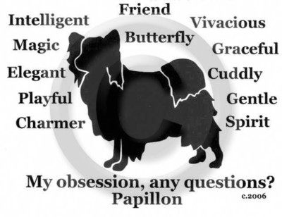 Papillon Dog My Obsession, Any Questions? T-shirt Choices