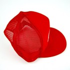 Bild 8 von 12