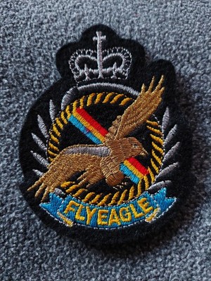 Patch FLY EAGLE in gold mit silberner Krone Abzeichen NEU 9 x 7 cm Uniform