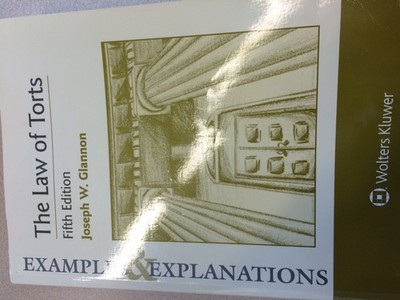 Examples & Explanations: The Law of Torts, Fifth Edition