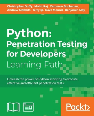 Python | Execute effective tests to identify software vulnerabilities | Englisch