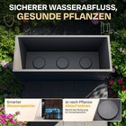 Bild 4 von 7