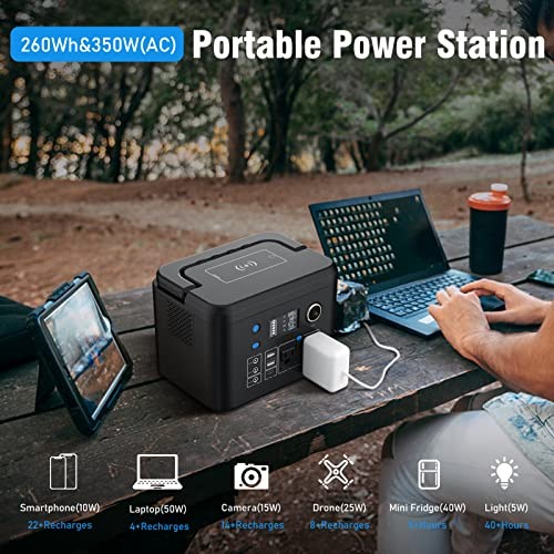 Portable Power Station  260Wh/70,000mAh Backup Lithium Battery, 110V Pure 350W