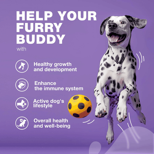 Dog Vitamins 15 in 1 Multivitamin Chews with MSM for Hip Joint Health Support - Picture 3 of 8