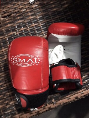 Smai Official Heavy Weight Boxing Gloves Australia