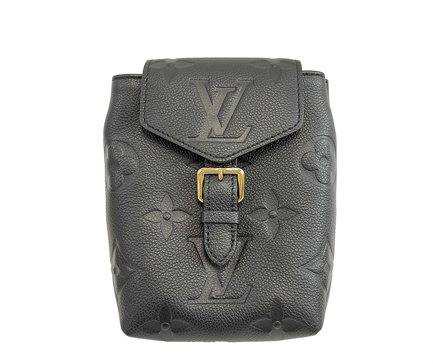 Louis Vuitton Tiny Backpack Monogram Empreinte Gi… - image 1