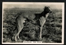 Tobacco Card, Senior Service, SPORTING EVENTS & STARS,1935,Dee Rock,Coursing,#47