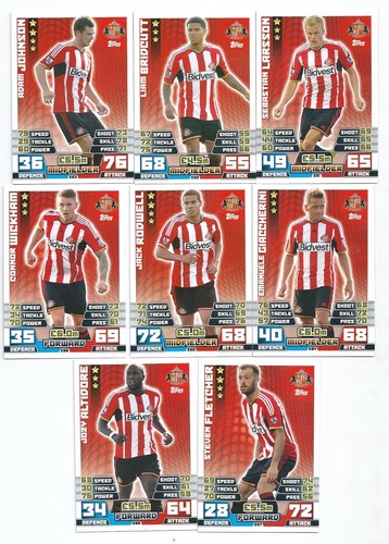 2014 / 2015 EPL Match Attax SUNDERLAND Team Set (272-288) 17 Cards - Picture 2 of 2