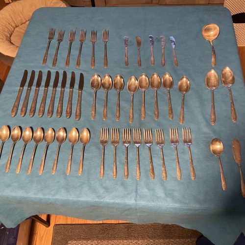 Oneida Silver English Garden 48 Pieces-Service For 8-w/Cream Soup Spoons +++ - 第 1/10 張圖片