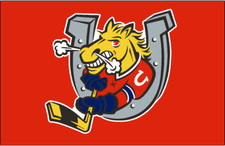 Barrie Colts OHL Hockey Logo Mens Embroidered Polo XS-6X, LT-4XLT New