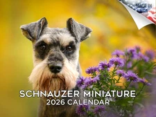 Miniature Schnauzer Calendar 2026 12x18 Made in USA