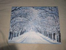 40 x 30cm Battery Operated Light up Fibre Optic Winter Tree Snow Flakes Wall Art