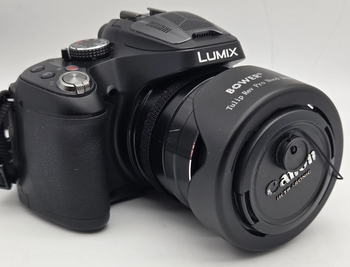 Panasonic LUMIX DMC-FZ70 14-16.9MP Digital Cameras for sale | eBay