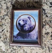 Vintage Framed Picture Art Shadowbox Mama Grizzly Bear  Cub 12  x10  