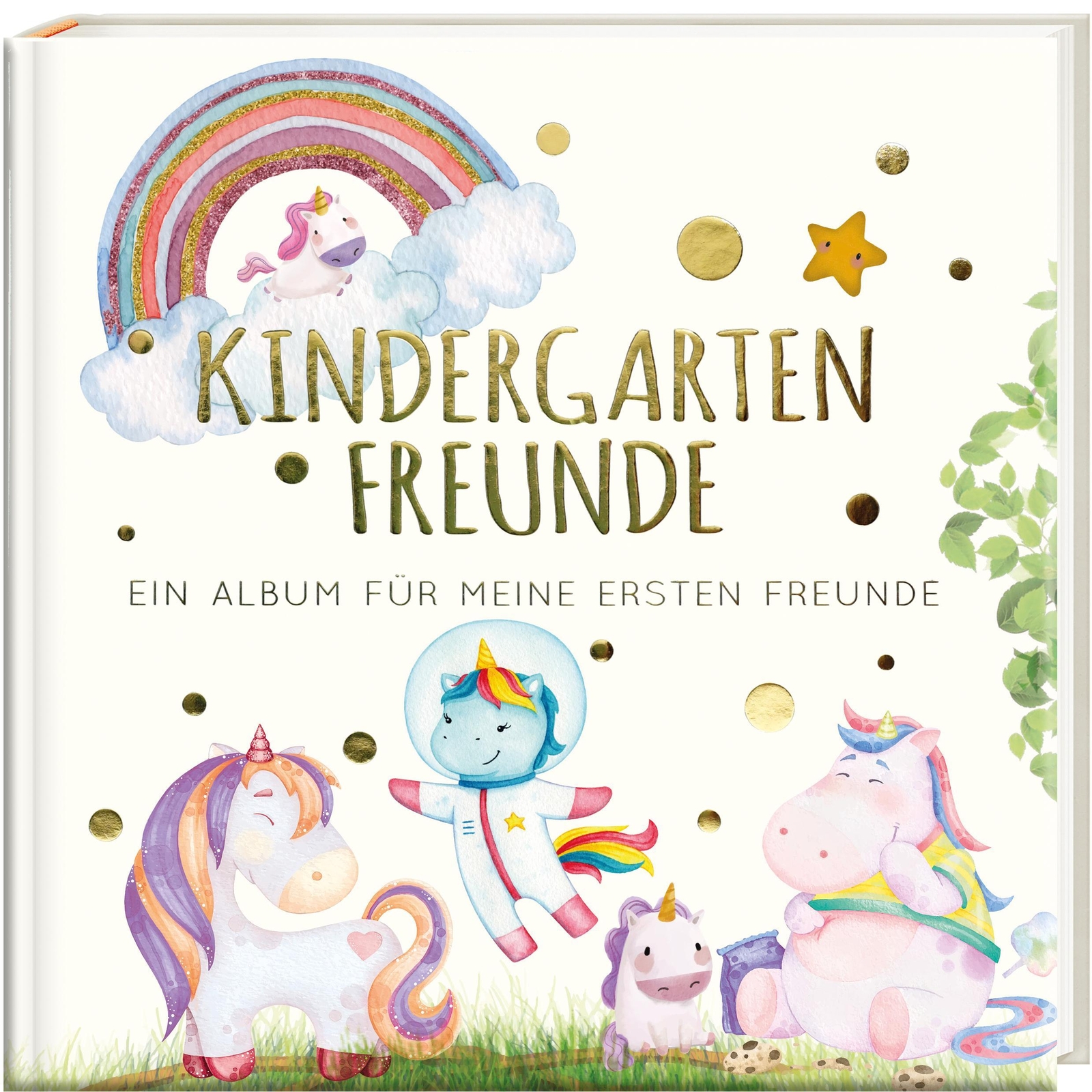 Thumbnail - Kindergartenfreunde - Einhorn | Pia Loewe | Buch | 72 S. | Deutsch |