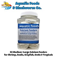 Sand Dollar Calcium Feeders, Medium-Large for Shrimp, Snails, Crabs, Crayfish