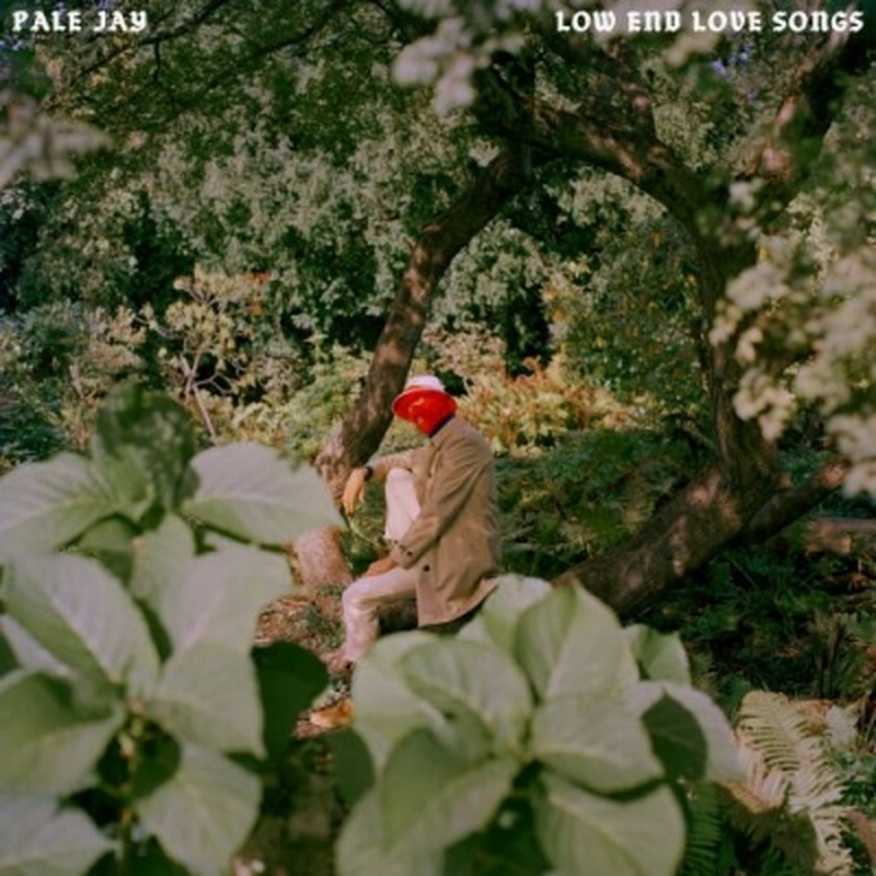 Новая пластинка Pale Jay/Low End Love Songs (цветной винил) KCR12038LPC1