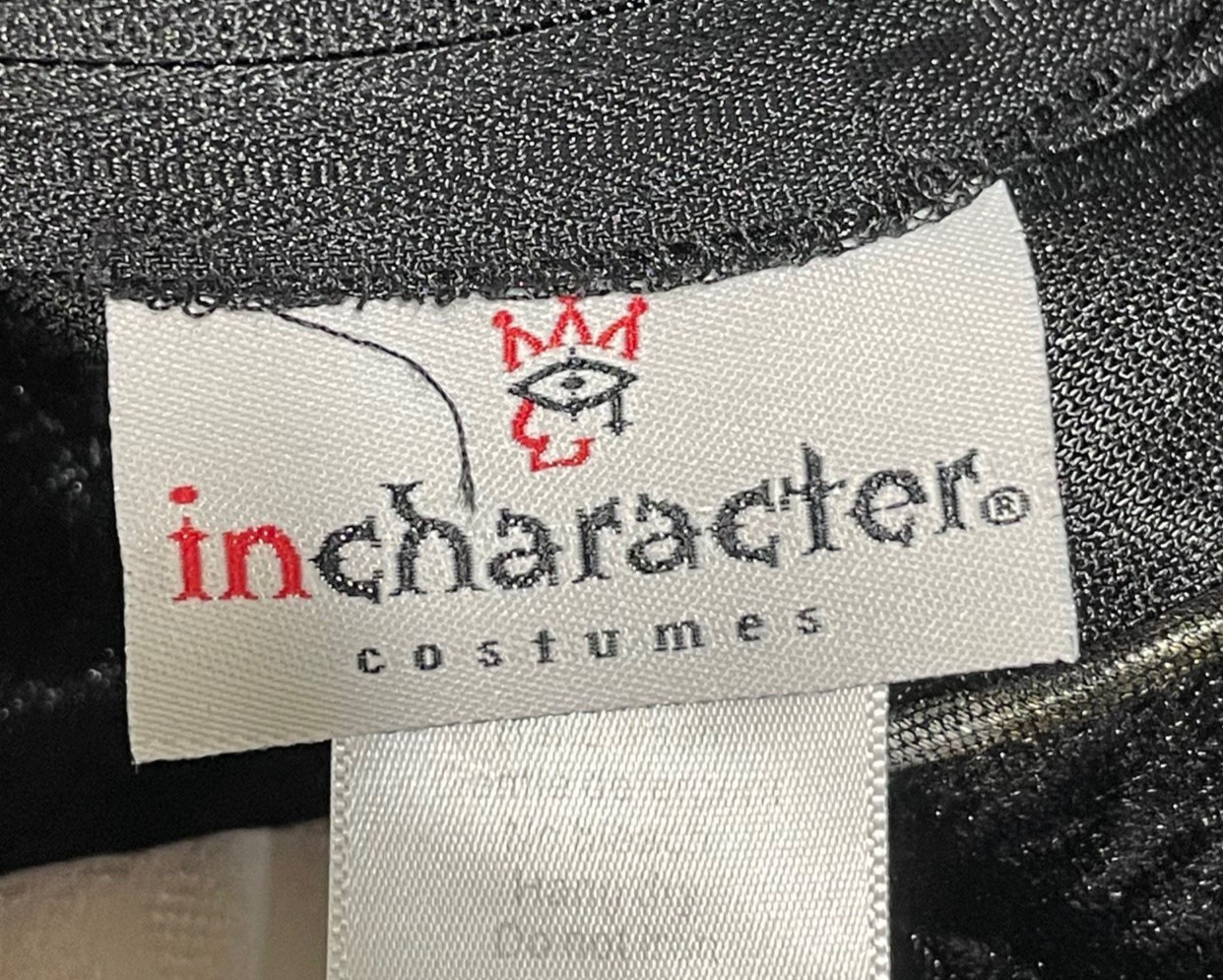 Vampire Victorian Halloween Costume Women's L Dress + Cape + Accessories