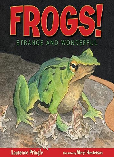 Frogs! L Pringle - Image 4