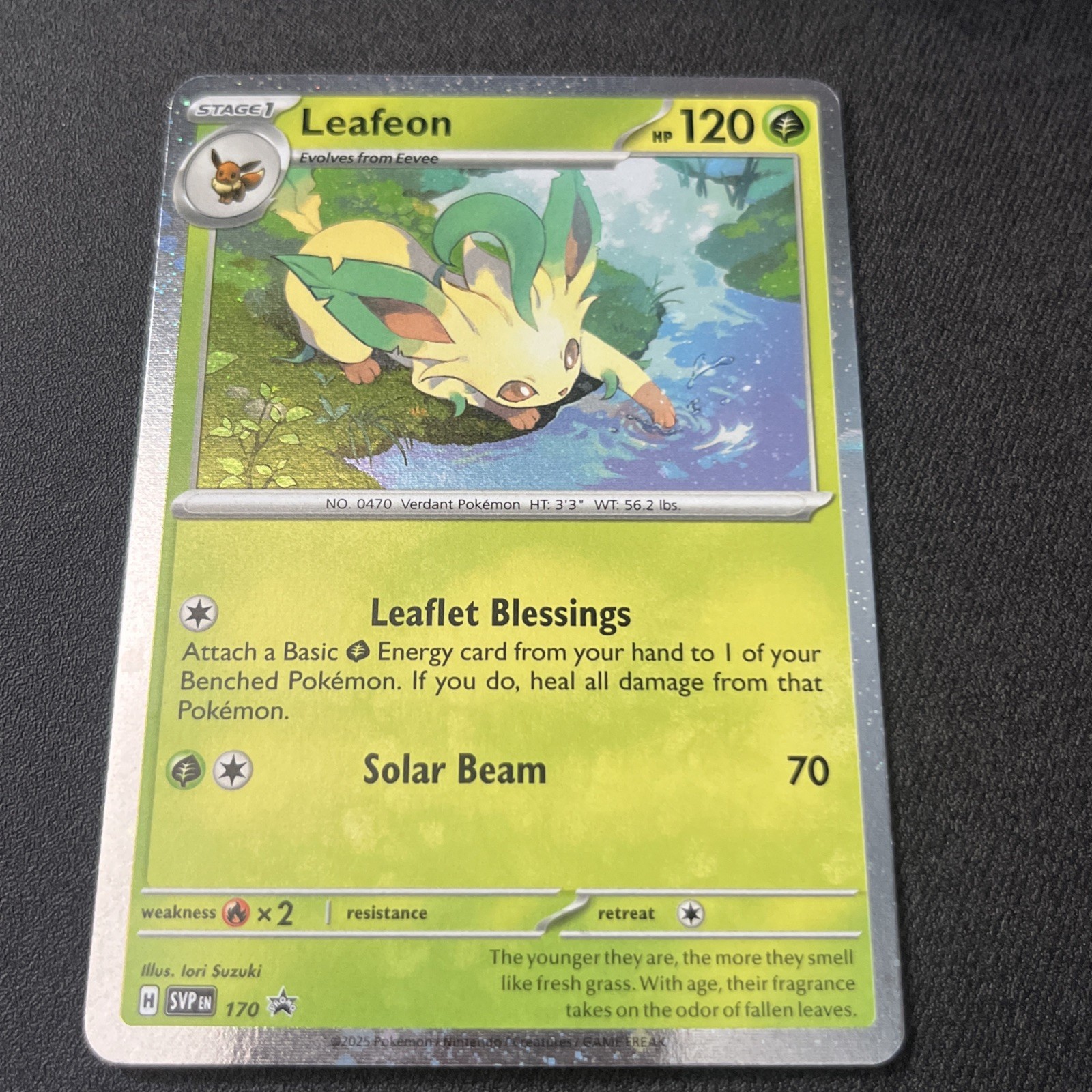 Leafeon SVP 170 Black Star Promo Holo Rare Pokemon Card