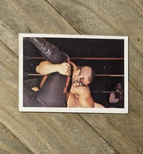 1988 Wonderama NWA Road Warrior "Animal" Card #281 RARE