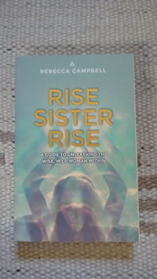 Rise Sister Rise: A Guide to Unleashing the Wise, W... | Buch | Zustand sehr gut