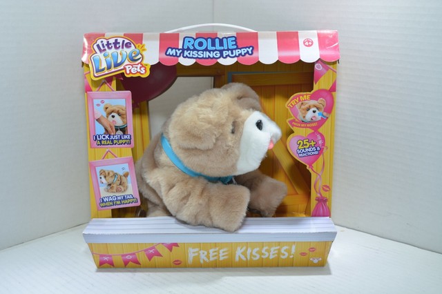 little live pets wrinkles