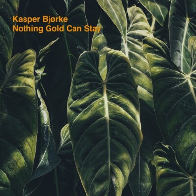 KASPER BJORKE - NOTHING GOLD CAN STAY (ORANGE LP+MP3)    VINYL LP + MP3 NEU