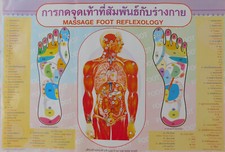 Massage Thai Foot Massage Poster: Visual Guide for Massage Shops and Training