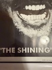 The Shining 23x33 Black & White Horror Movie Poster Art Framed Here’s Johnny! — photo 6
