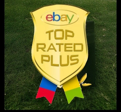 2009-D Lincoln Log Cabin Early Childhood Cent #1 BU Penny US Coin FREE SHIPPING - Picture 5 of 7