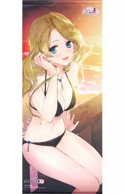 Atelier Marie Large Tapestry PS4 Switch Vita Collector's  51x120cm