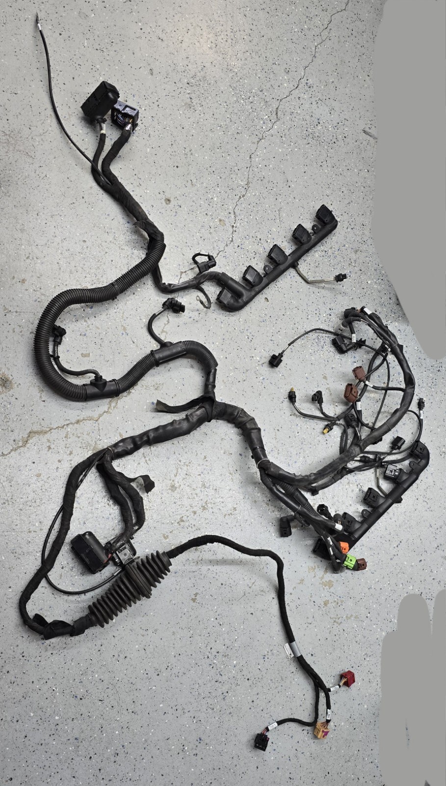 Lamborghini Huracan Engine Harness Wiring Main Ecu Injectors Computer