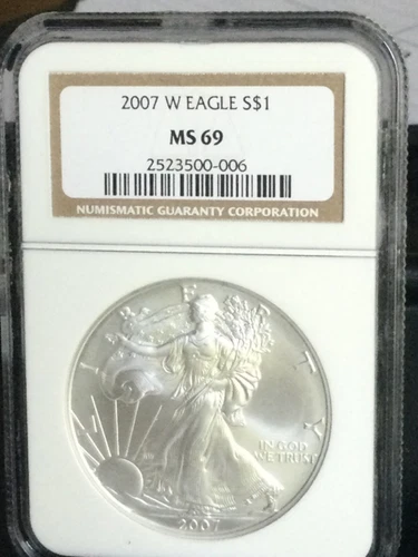 2007 W BURNISHED AMERICAN SILVER EAGLE NGC MS69 WITH TRADITIONAL BROWN LABEL.