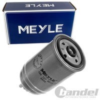 Meyle Kraftstofffilter Anschraubfilter Passend FüR Audi A4 A6 Skoda Superb VW