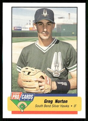 1994 Fleer Pro Cards South Bend Silver Hawks GREG NORTON RC WHITE SOX 