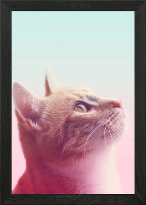 Niedliche Katze Kätzchen gerahmtes Wandbild Poster Leinwanddruck Bild