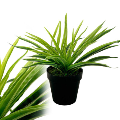 knstliche Spiderpflanze grn 25 cm Kunstpflanze Kunstblume Seidenblume  McPalms | eBay.de