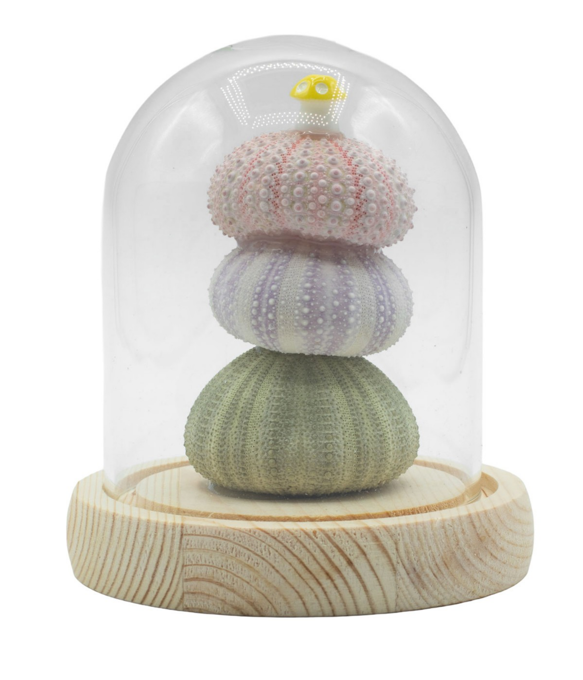 3 Sea Urchins - Floral Glow Garden Dome - H-12cm - LED USB - Brand New & Boxed