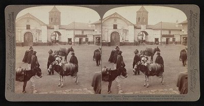 Cerro de Pasco Peru Chaupimarca Square 1907 Mormon Missionaries Donkeys