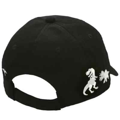 Universal Studios Japan Jurrasic Hat s-l400.jpg main image 3