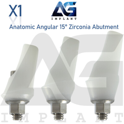 Zirconia Angular Anatomic Prosthetic System 15° Titanium Base Hexagon 2.42mm