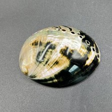 Artisan Made Abalone Shell Belt Buckle, Large, Beautiful