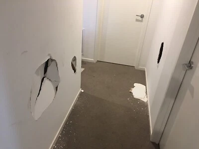 Plaster Repairs 47 Maintenance Hole Repairs Crack Repairs