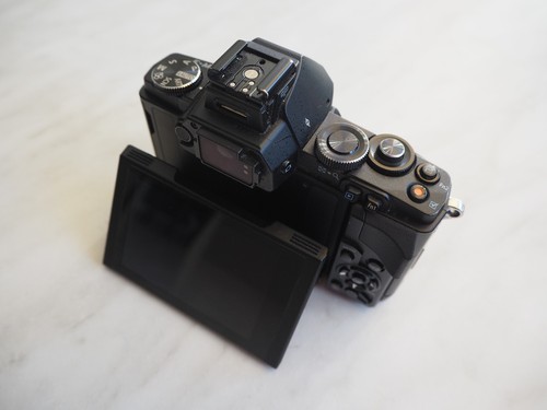 OLYMPUS OM-D-EM5 - Foto 3 di 20