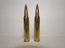 300 Winchester Magnum Snap Caps - Set Of 2 Win Mag