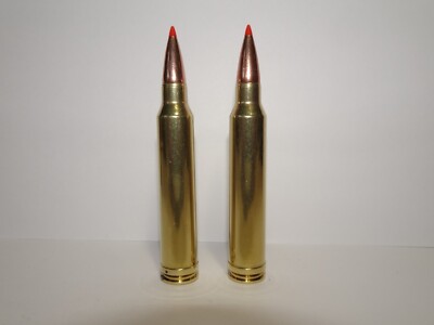300 Winchester Magnum Snap Caps - Set Of 2 Win Mag