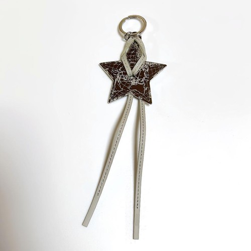 Christian Dior Novelty Charm Welcome Gift 2024 Key chain strap Star Keyring - Picture 2 of 2