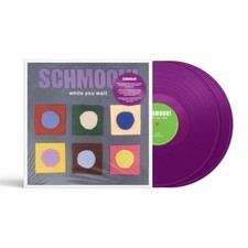 SCHMOOV! While You Wait RSD 2x LP NEW COLORED VINYL DiY Discs reissue